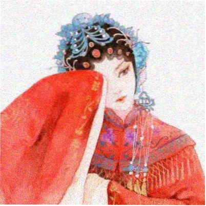 读者林间雪头像